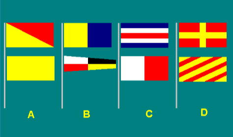 Special flags 12
