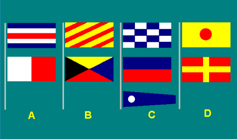 Special flags 13