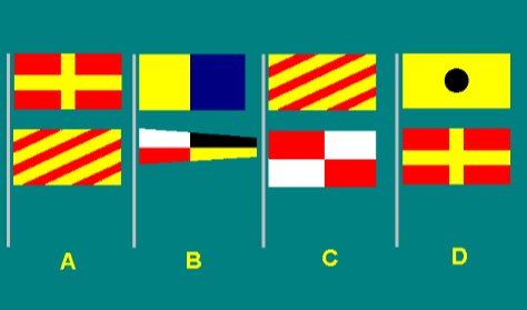 Special flags 16