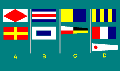 Special flags 17