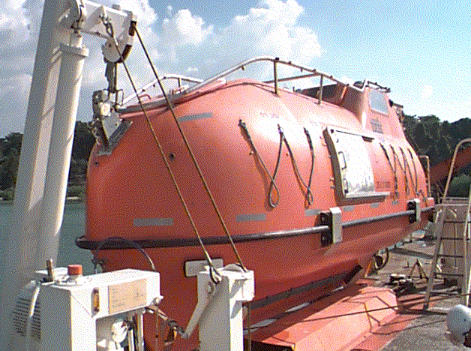 A rigid survival capsule