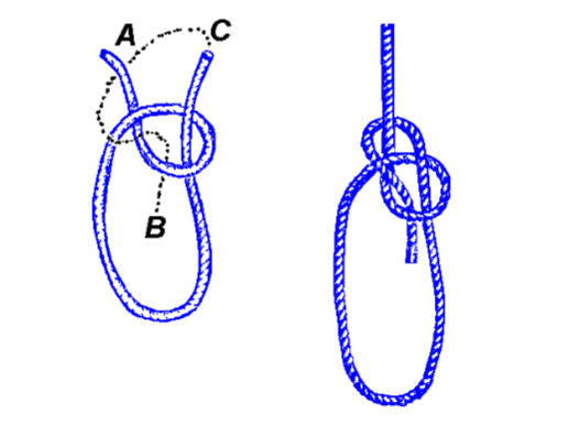 A bowline