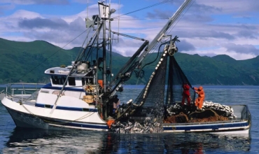 Промысловые механизмы – конструкция и эксплуатация на рыболовных судах