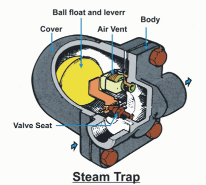 Steam trap