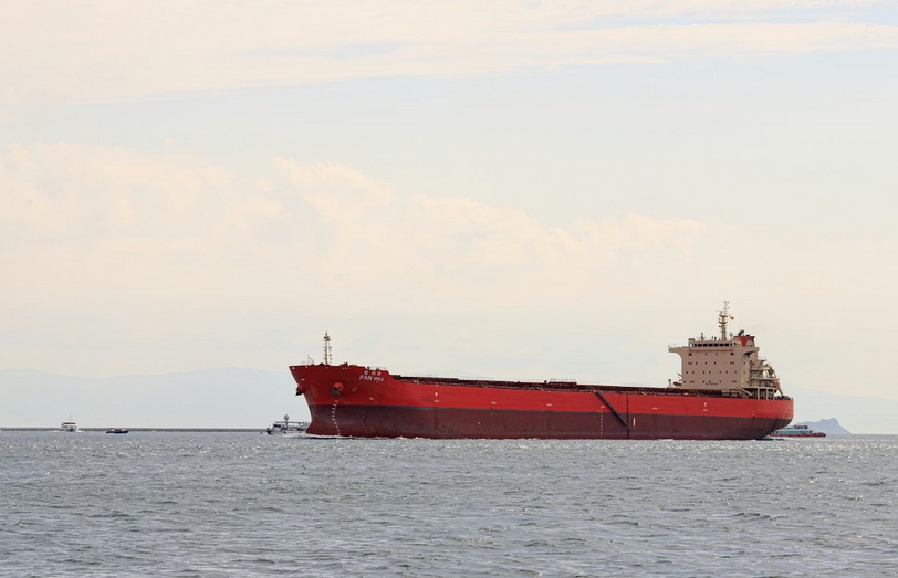 Bulk Carrier